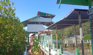 IMG-20260719-WA0049(1)